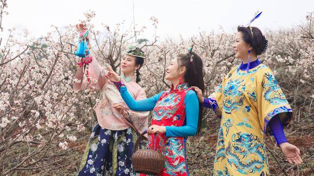 2025武定首屆“櫻桃花開·情漫武定”藝術(shù)節(jié)模特服飾·攝影大賽啟幕:模特?cái)z影公司
